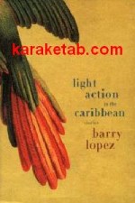 Light Action in the Caribbean